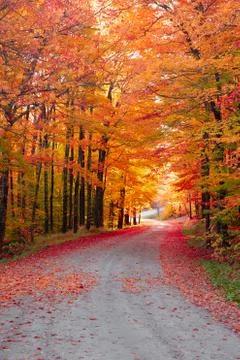 Autumn Stock Photos