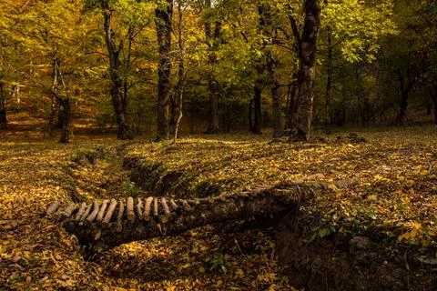 Autumn Stock Photos