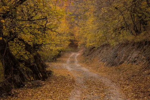 Autumn Stock Photos