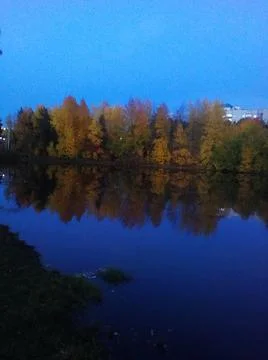 Autumn 스톡 사진