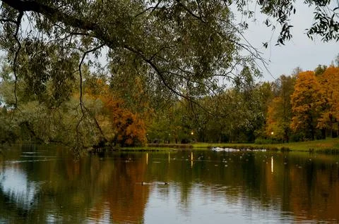 Autumn Stock Photos