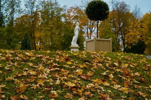 Autumn Stock Photos