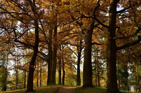 Autumn Stock Photos