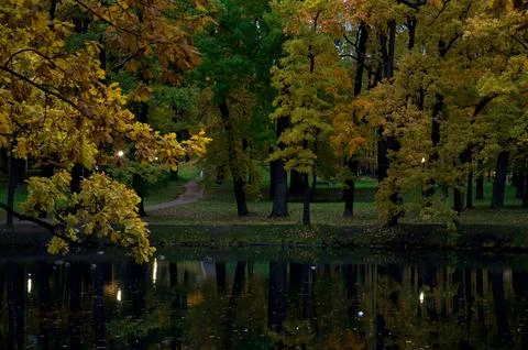 Autumn Stock Photos
