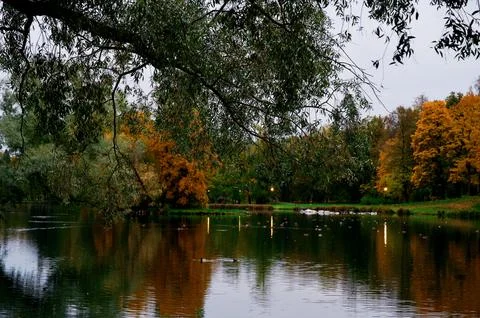 Autumn Foto stock