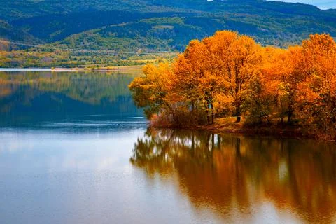 Autumn Stock Photos