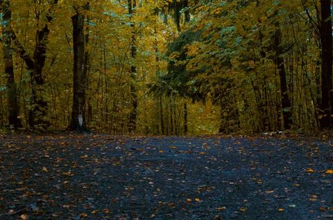 Autumn Stock Photos