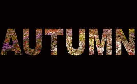 Autumn. Stock Photos