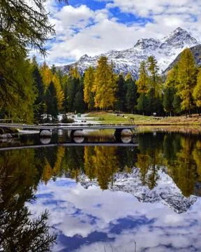 Autumn Stock Photos