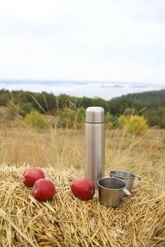 Autumn Stock Photos