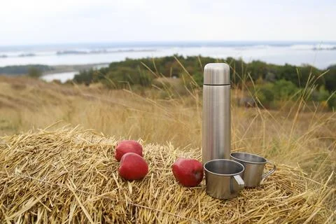 Autumn Stock Photos