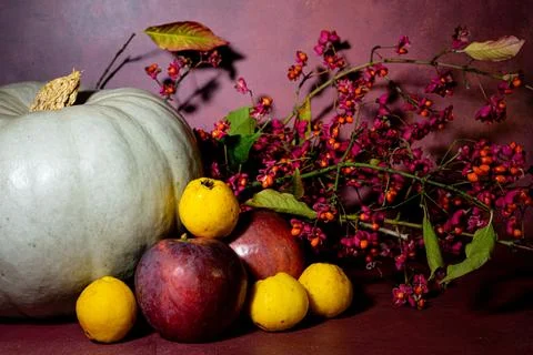Autumn Stock Photos