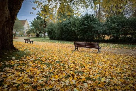 Autumn Stockfoto's