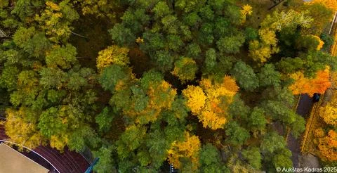Autumn Foto stock