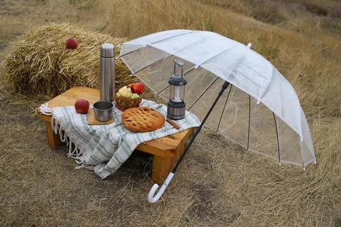 Autumn picnic 8 Stock Photos