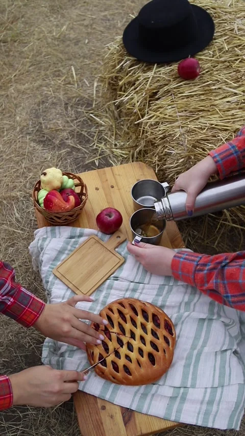 Autumn picnic Stock Footage 287735760