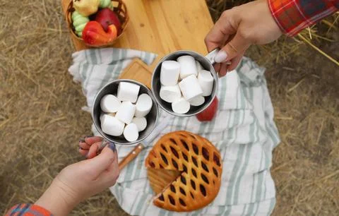 Autumn picnic Stock Photos