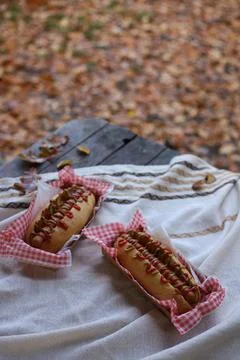 Autumn picnic Stock Photos