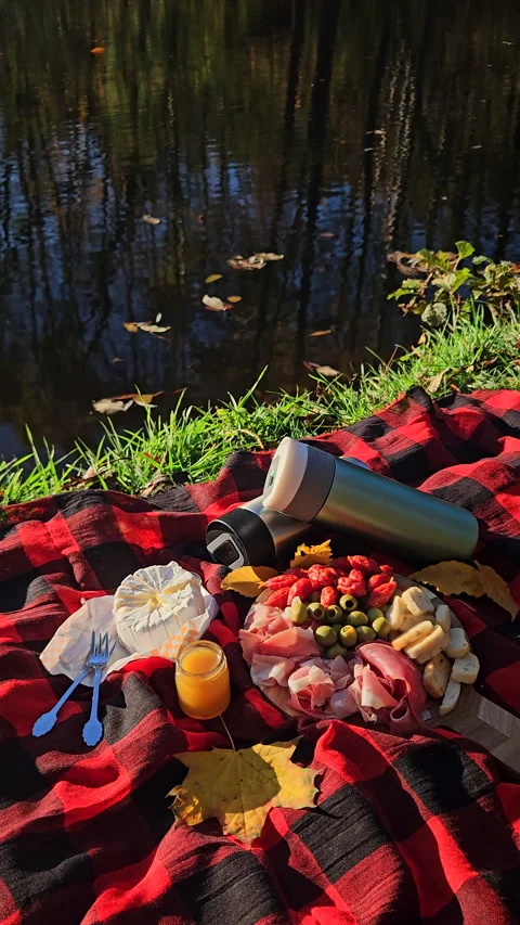 Autumn picnic setup on plaid blanket near forest lake. Stock Footage 341358255