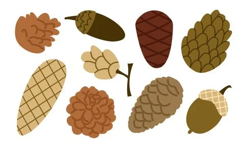 Autumn Pine Cone Vector Set Flat Geometric Forest Cones Acorn Collection Stock Illustration