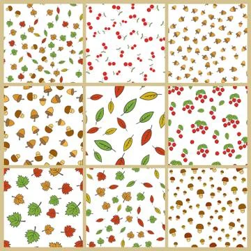 Autumn Plants Element Vector Seamless Patterns Set Illustrazione stock