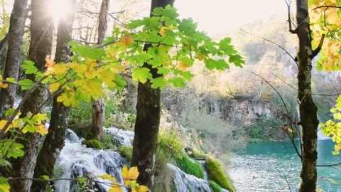 Autumn Plitvice Lakes Stock Footage 136417040