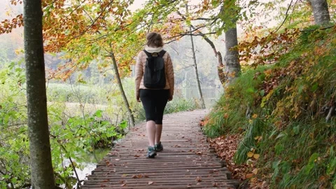 Autumn Plitvice Lakes Stock Footage 136417717