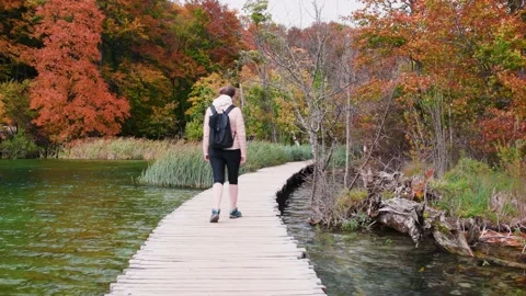 Autumn Plitvice Lakes Stock Footage 136418452