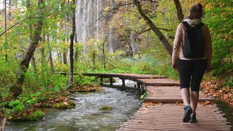Autumn Plitvice Lakes Stock Footage 136420346