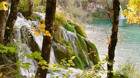 Autumn Plitvice Lakes Stock Footage 137091116