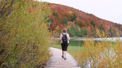 Autumn Plitvice Lakes Stock Footage 137092592