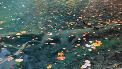 Autumn Plitvice Lakes Stock Footage 137092889