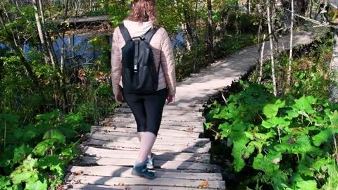 Autumn Plitvice Lakes Stock Footage 137093517