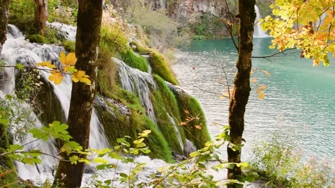 Autumn Plitvice Lakes Stock Footage 137532986