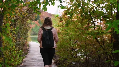 Autumn Plitvice Lakes Stock Footage 137534018