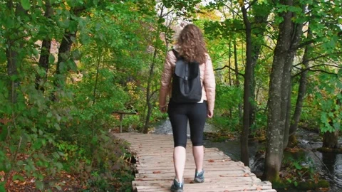 Autumn Plitvice Lakes Stock Footage 137535270