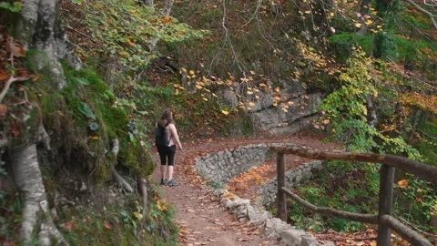 Autumn Plitvice Lakes Stock Footage 137958166