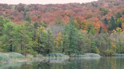 Autumn Plitvice Lakes Stock Footage 141486333