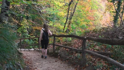 Autumn Plitvice Lakes Stock Footage 141486384