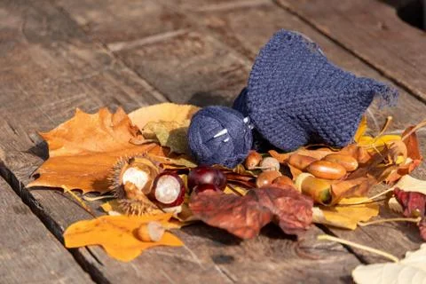 Autumn plot: a ball of dark blue threads and a started knitted product on kni Foto stock