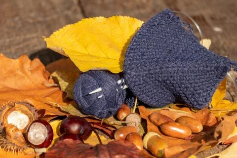 Autumn plot: a ball of dark blue threads and a started knitted product on kni Foto stock
