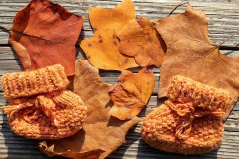 Autumn plot: bright orange knitted baby socks with dry leaves on wooden board Foto stock