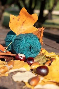 Autumn plot: a skein of thread for knitting emerald green with bright yellow  Foto stock