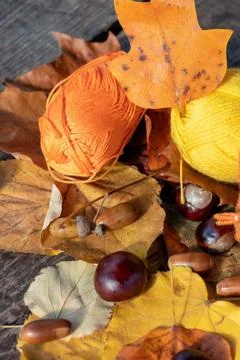 Autumn plot: two skeins of knitting thread and children's socks - cotton and  Foto stock