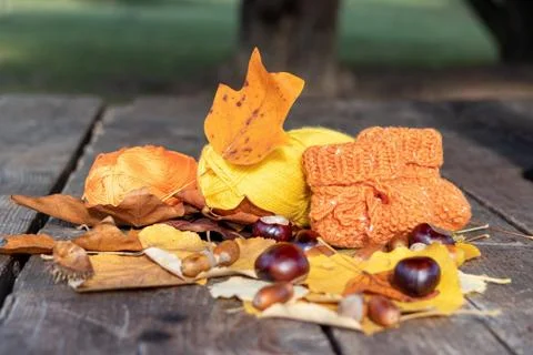 Autumn plot: two skeins of knitting thread and children's socks - cotton and  Foto stock