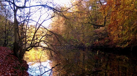Autumn pond. Stock Footage 32670635