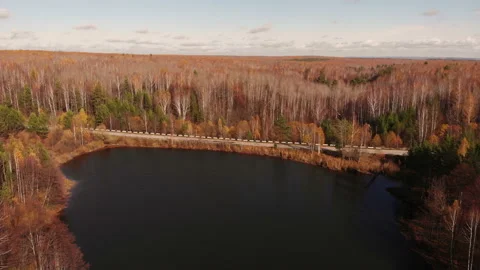 Autumn pond Stock Footage 147049360