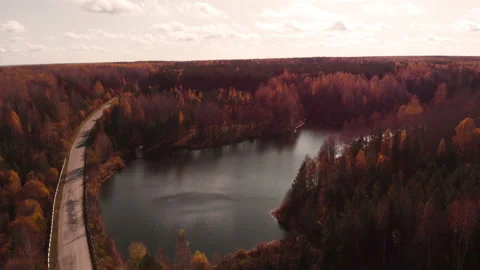 Autumn pond Stock Footage 147049847