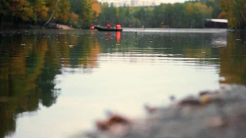Autumn pond in the forest Stock Footage 96086848