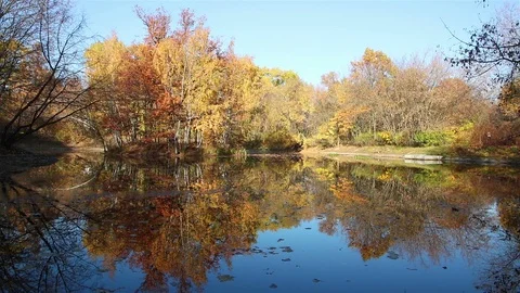 Autumn pond still background Stock Footage 104883612